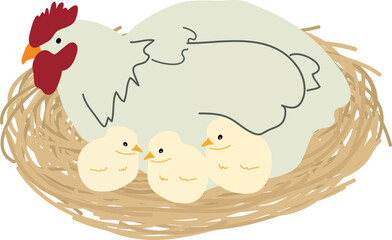 other Hen Protecting Her Chicks