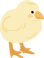 Cute Baby Chick Character Illustration