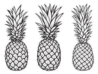 Fototapeta premium Pineapple vector line art illustration