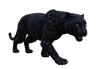  Stealthy Panther Cat in Prowling Pose on Transparent Background    © Foyez Ullah
