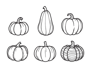 Pumpkin vector line art illustration
