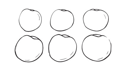 Apricot set line art