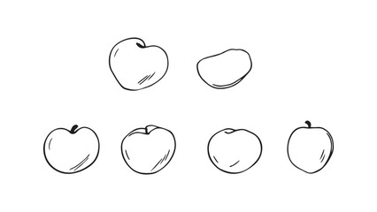 Apricot set line art