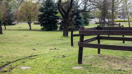 Serene park landscape with wooden fence and trees, perfect for relaxing walks, Earth Day appreciation, or nature photography
