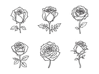 Obraz premium Rose vector line art illustration