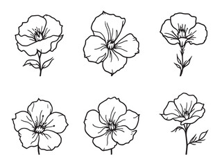 Snapdragon vector line art illustration