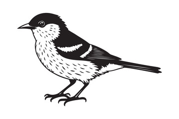 Small Songbird Silhouette Illustration Black and White Bird Vector Art