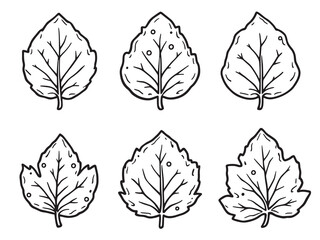 Snowbell Leaf vector line art illustration