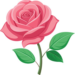 A beautiful single pink rose vector, isolated on white, showcasing its floral beauty and delicate petals