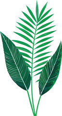 Fresh green leaves, a symbol of nature's summer growth, isolated on white