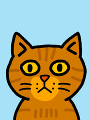 Cat hand drawn art - canvas print art - wall decoration - colorful cat - kids book - cat expression