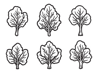 Spinach vector line art illustration