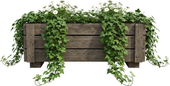 Rustic Wooden Planter Box Overflowing with Daisies and Ivy Spring Garden Decor