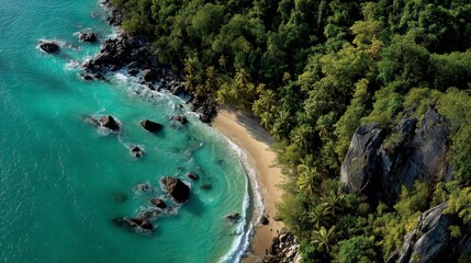 Obraz premium Aerial view of a secluded beach with turquoise water, rocks, and lush green vegetation.