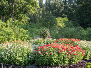 Large round flower bed with red and white flowers, big trees on a background, sunny summer day at Herttoniemi manor historical park in Helsinki.