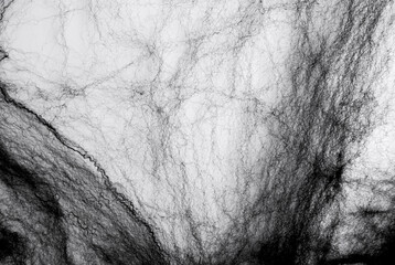 Black web on a white background