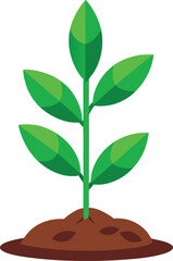 A young plant seedling grows in a pot, a symbol of new life and nature's sprout