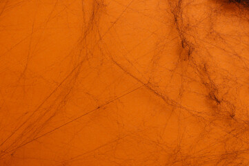 Black web on orange background. Halloween scene