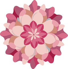 Pink floral design with vector illustration of pink carnation and dahlia flowers creates a beautiful spring pattern for wallpaper or card decoration