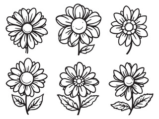 Strawflower vector line art illustration