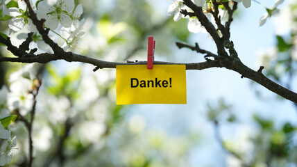 A yellow paper note with the word Danke! (Thank you in German) on it attached to a blossoming plum...