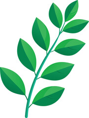 Fresh green foliage of a plant with isolated leaves on a white background showcases natural growth