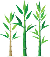 Bamboo stems and green leaves, a natural plant design element from Asia
