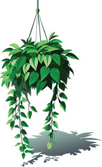 Green foliage of a tropical palm tree branch, a fresh vector illustration isolated on white