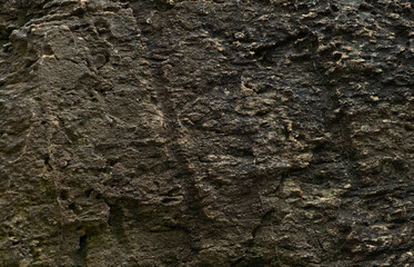 Close-up of a rough, dark rock surface with intricate textures and patterns
