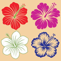 Vibrant Hibiscus Flowers in a Pastel Background