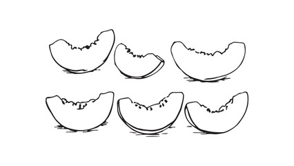 Cantaloupe set line art