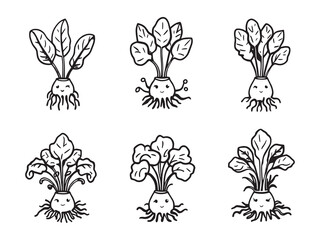 Taro vector line art illustration