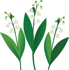 A vibrant green plant vector illustration, showcasing its natural foliage and leaf design against a clean white background