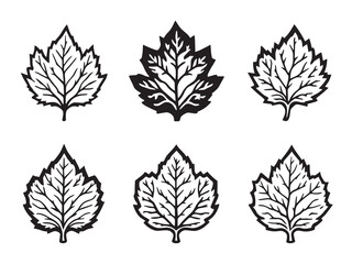 Tupelo Leaf vector line art illustration