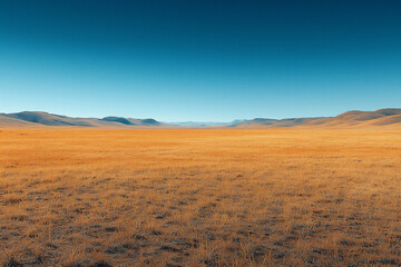 Fototapeta premium vast_desert_blue_sky,