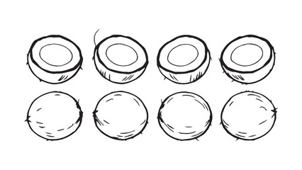 Coconut set line art