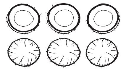 Coconut set line art