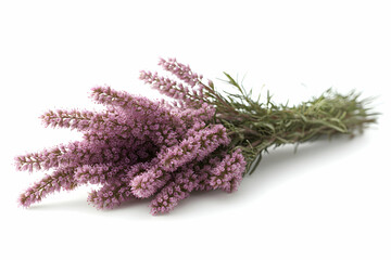 Purple Pink Flower Bouquet Against White Background