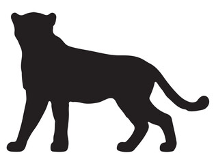 CHEETAH SILHOUETTE WHITE BACKGROUND