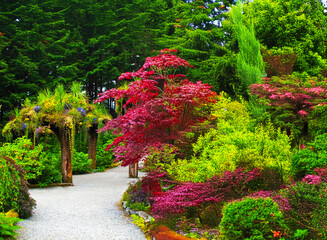 flowers in garden