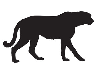 CHEETAH SILHOUETTE WHITE BACKGROUND
