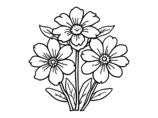 Ixora vector line art illustration