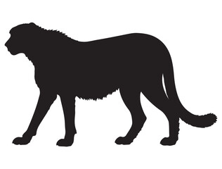 CHEETAH SILHOUETTE WHITE BACKGROUND