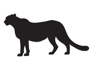 CHEETAH SILHOUETTE WHITE BACKGROUND