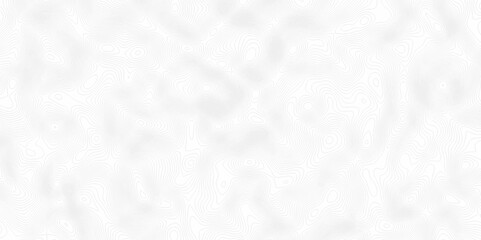 White topography topology vector white background fresh contour map texture. white seamless pattern Abstract background with a wave Topography and geography map grid abstract backdrop.	
