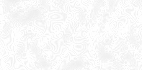 White topography topology vector white background fresh contour map texture. white seamless pattern Abstract background with a wave Topography and geography map grid abstract backdrop.	