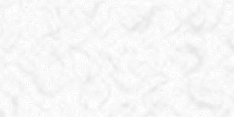 White topography topology vector white background fresh contour map texture. white seamless pattern Abstract background with a wave Topography and geography map grid abstract backdrop.	