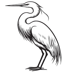 Black outline a Heron bird vector illustration