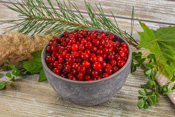 Natural organic wild forwst lingonberry