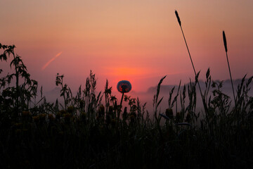 Sunrise in the field